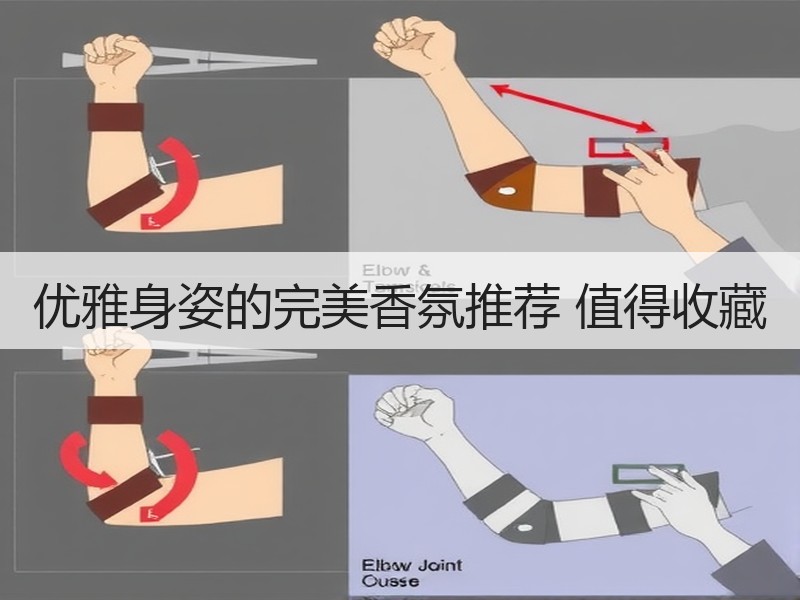 优雅身姿的完美香氛推荐 值得收藏