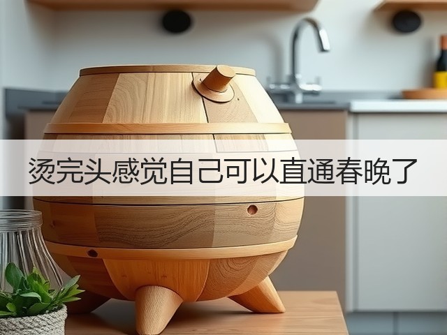 烫完头感觉自己可以直通春晚了(图1)