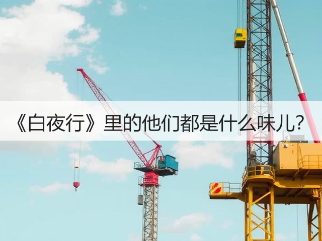 《白夜行》里的他们都是什么味儿?(图1) 《白夜行》里的他们都是什么味儿?(图1)