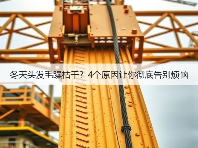 冬天头发毛躁枯干?4个原因让你彻底告别烦恼(图3) 冬天头发毛躁枯干?4个原因让你彻底告别烦恼(图3)
