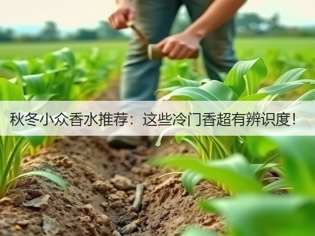 秋冬小众香水推荐:这些冷门香超有辨识度!(图3) 秋冬小众香水推荐:这些冷门香超有辨识度!(图3)