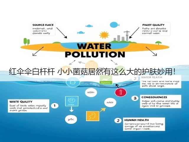 红伞伞白杆杆 小小菌菇居然有这么大的护肤妙用！(图3)