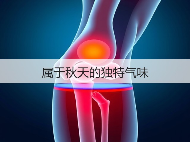 属于秋天的独特气味(图1)