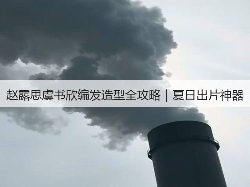 赵露思虞书欣编发造型全攻略｜夏日出片神器
