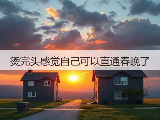烫完头感觉自己可以直通春晚了(图1)