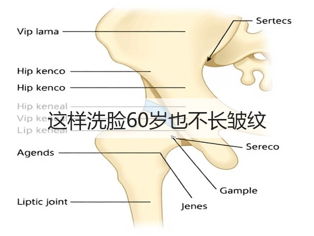 这样洗脸60岁也不长皱纹(图2) 这样洗脸60岁也不长皱纹(图2)