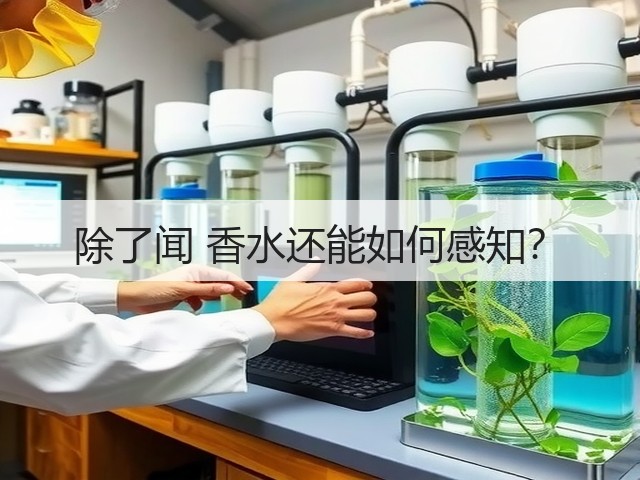 除了闻 香水还能如何感知?(图2) 除了闻 香水还能如何感知?(图2)