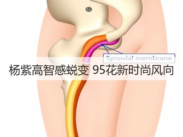 杨紫高智感蜕变 95花新时尚风向(图2) 杨紫高智感蜕变 95花新时尚风向(图2)
