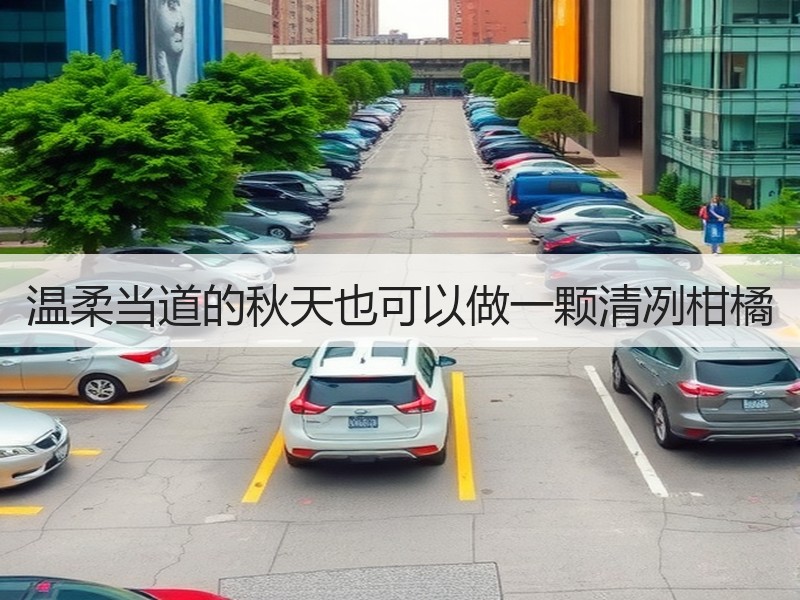 温柔当道的秋天也可以做一颗清冽柑橘
