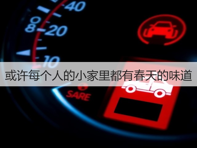或许每个人的小家里都有春天的味道(图3) 或许每个人的小家里都有春天的味道(图3)