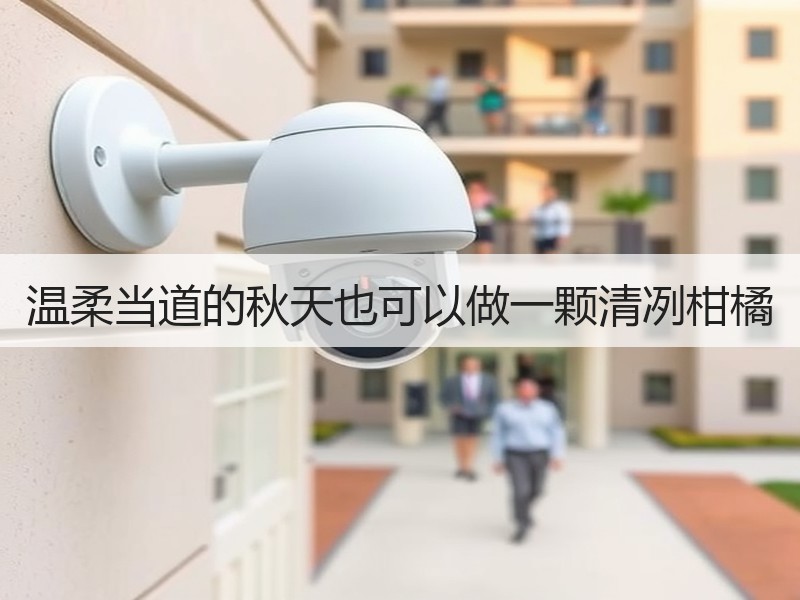 温柔当道的秋天也可以做一颗清冽柑橘