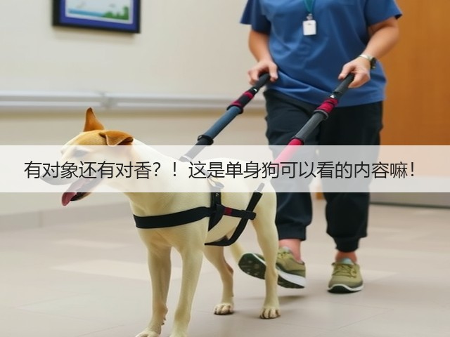 有对象还有对香?!这是单身狗可以看的内容嘛!(图3) 有对象还有对香?!这是单身狗可以看的内容嘛!(图3)