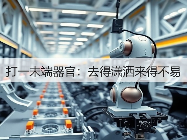 打一末端器官：去得潇洒来得不易(图2)