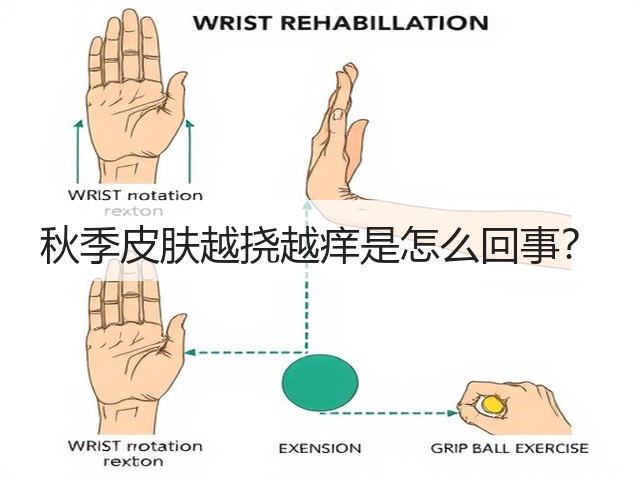 秋季皮肤越挠越痒是怎么回事?(图2) 秋季皮肤越挠越痒是怎么回事?(图2)