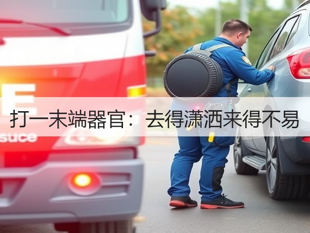 打一末端器官：去得潇洒来得不易(图3)
