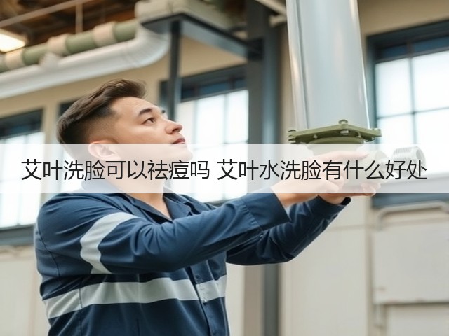 艾叶洗脸可以祛痘吗 艾叶水洗脸有什么好处(图2) 艾叶洗脸可以祛痘吗 艾叶水洗脸有什么好处(图2)