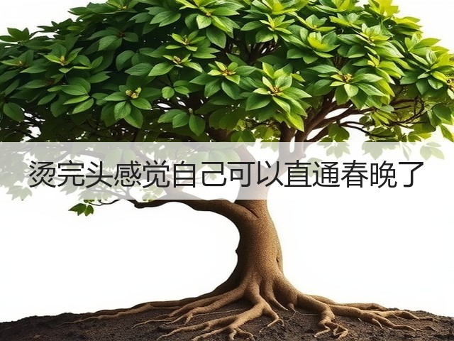 烫完头感觉自己可以直通春晚了(图1)