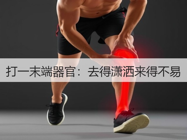 打一末端器官:去得潇洒来得不易(图1) 打一末端器官:去得潇洒来得不易(图1)