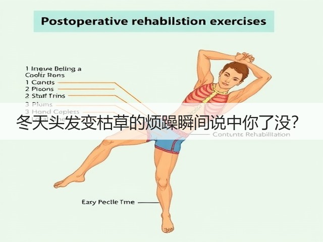 冬天头发变枯草的烦躁瞬间说中你了没？(图3)