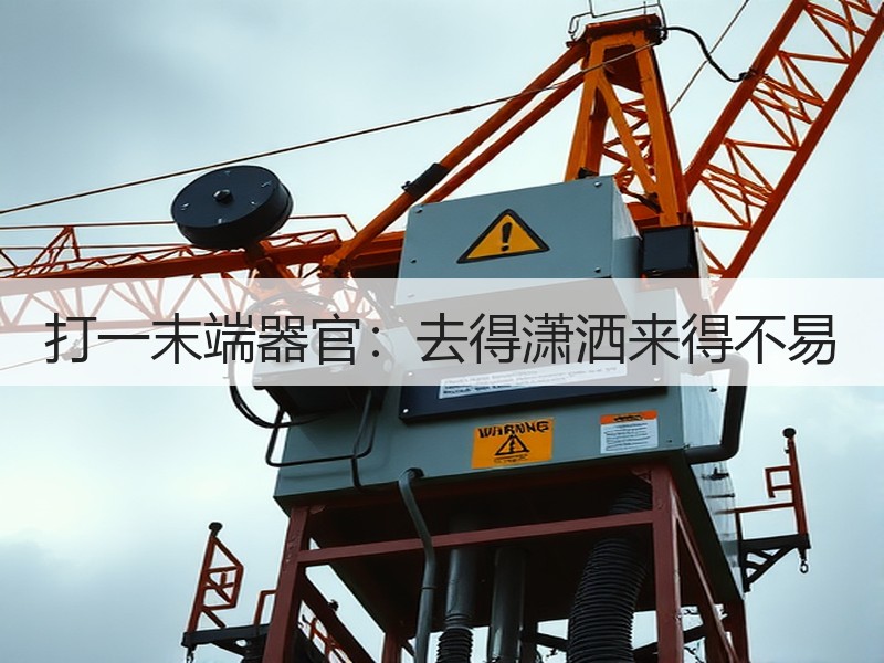 打一末端器官：去得潇洒来得不易
