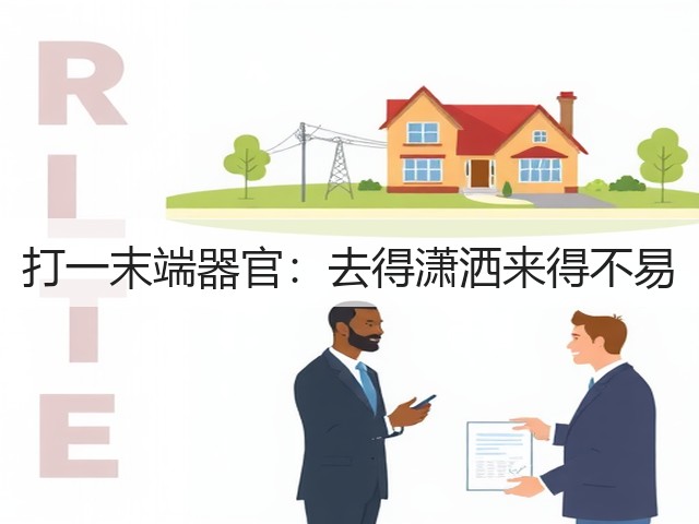 打一末端器官：去得潇洒来得不易(图3)