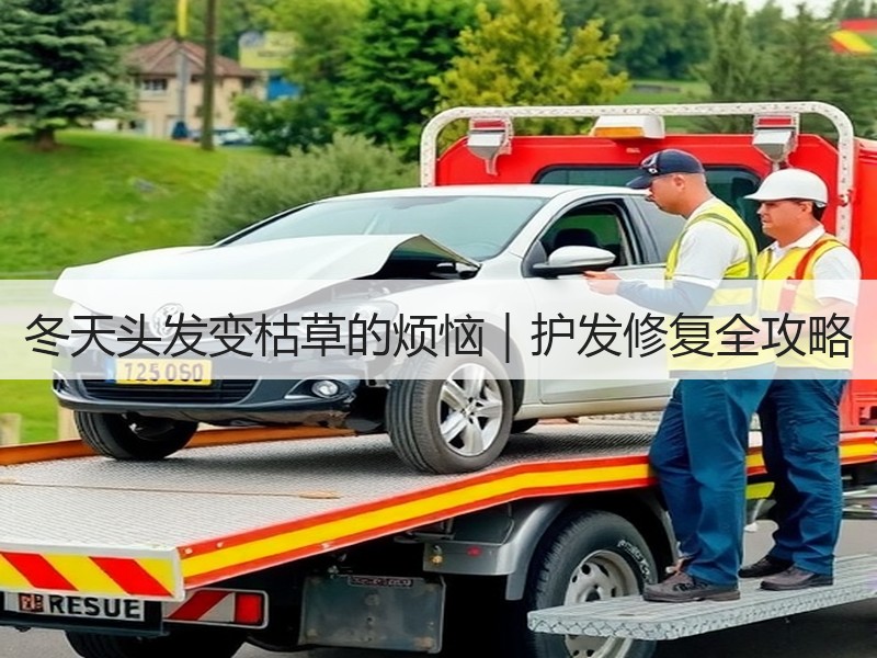 冬天头发变枯草的烦恼｜护发修复全攻略