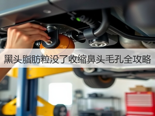 黑头脂肪粒没了收缩鼻头毛孔全攻略(图2) 黑头脂肪粒没了收缩鼻头毛孔全攻略(图2)