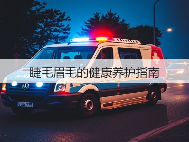 睫毛眉毛的健康养护指南(图3) 睫毛眉毛的健康养护指南(图3)