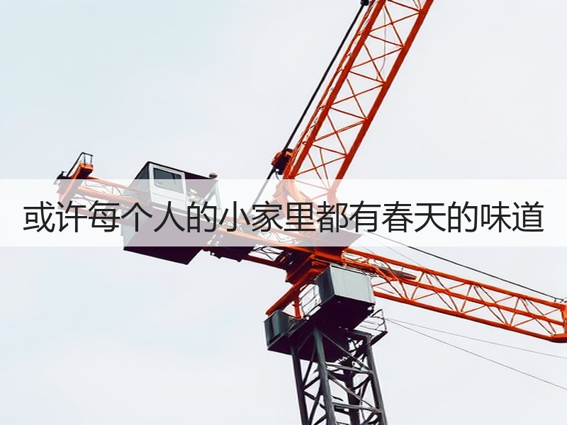 或许每个人的小家里都有春天的味道