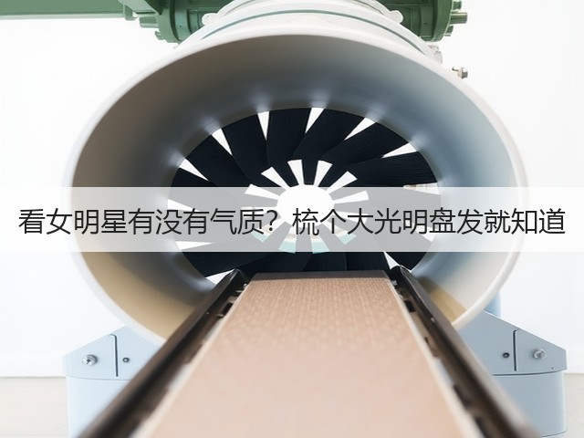 看女明星有没有气质？梳个大光明盘发就知道(图2)