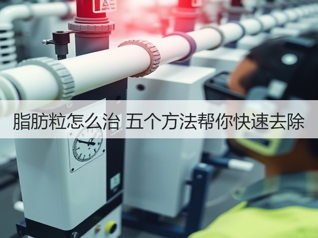 脂肪粒怎么治 五个方法帮你快速去除(图2) 脂肪粒怎么治 五个方法帮你快速去除(图2)