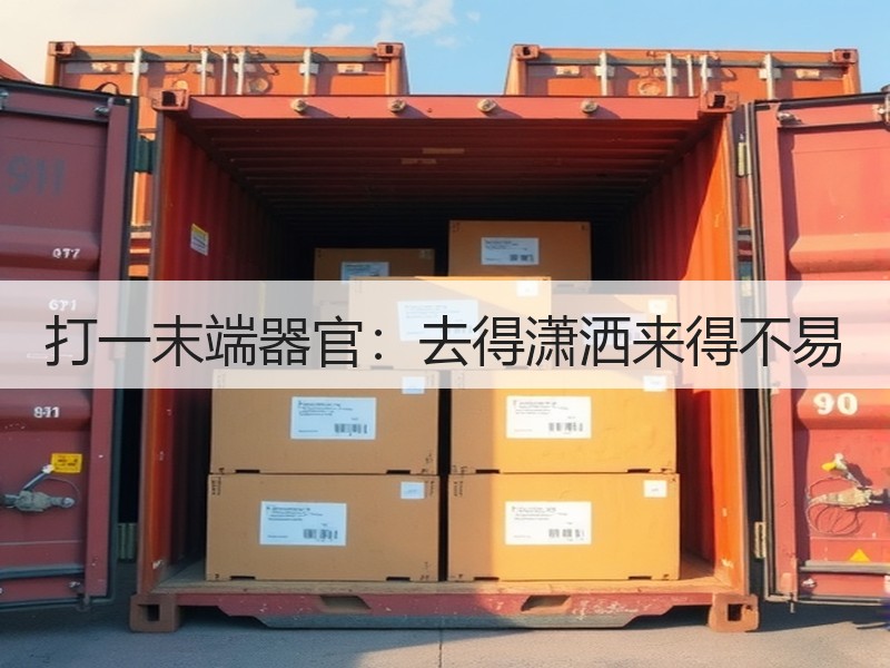打一末端器官：去得潇洒来得不易