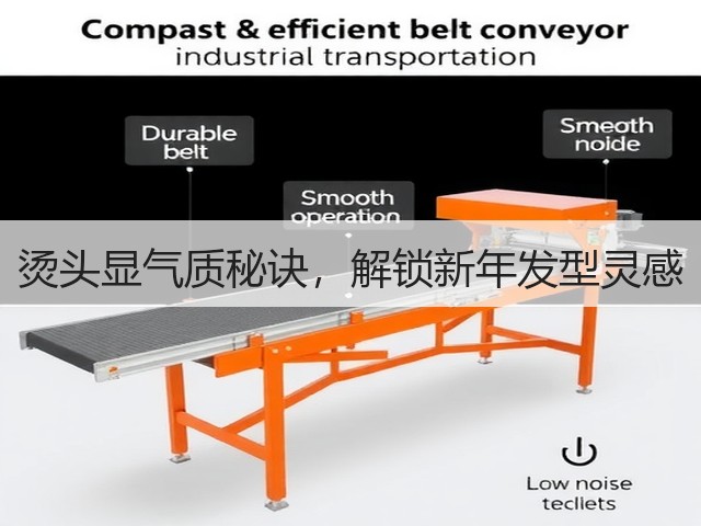 烫头显气质秘诀,解锁新年发型灵感(图1) 烫头显气质秘诀,解锁新年发型灵感(图1)