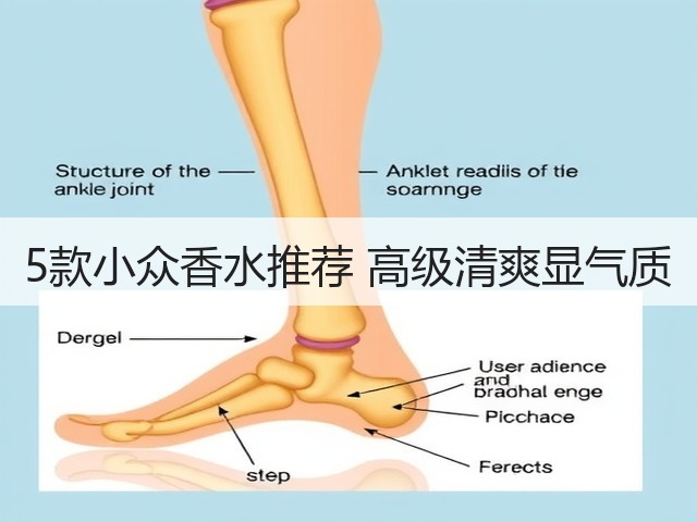 5款小众香水推荐 高级清爽显气质(图3) 5款小众香水推荐 高级清爽显气质(图3)