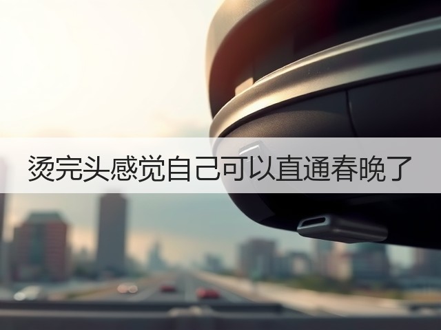 烫完头感觉自己可以直通春晚了(图3)