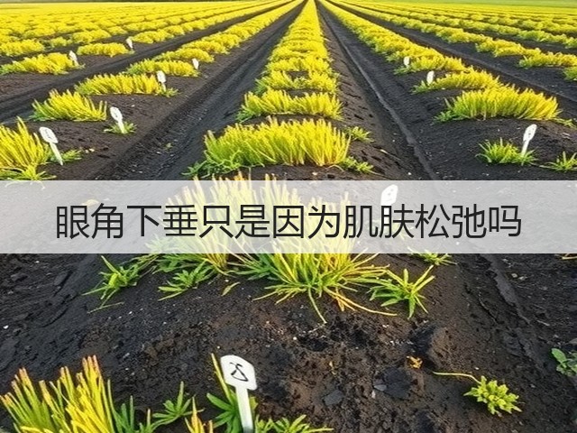 眼角下垂只是因为肌肤松弛吗(图1)