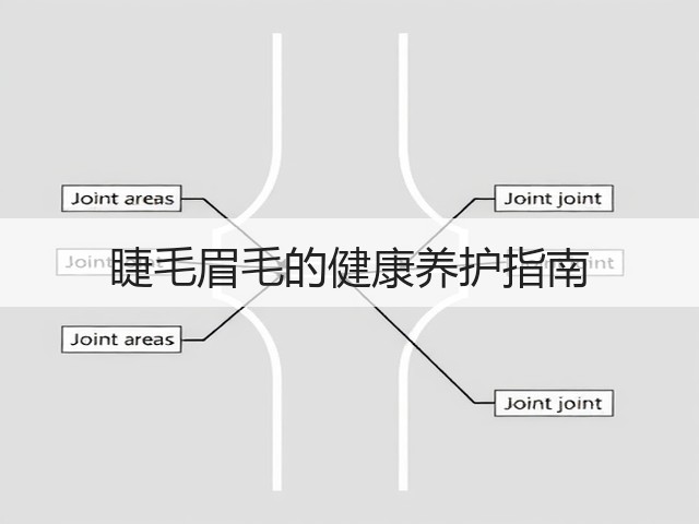 睫毛眉毛的健康养护指南(图1) 睫毛眉毛的健康养护指南(图1)