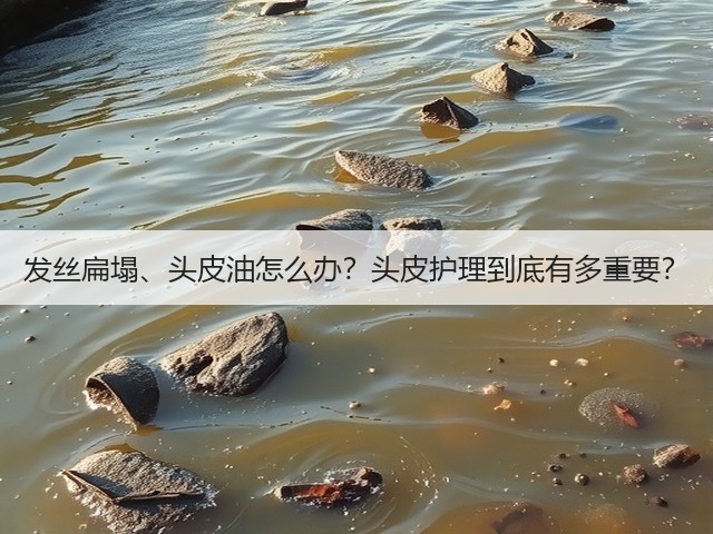 发丝扁塌、头皮油怎么办?头皮护理到底有多重要?(图1) 发丝扁塌、头皮油怎么办?头皮护理到底有多重要?(图1)