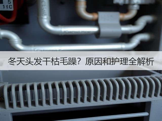 冬天头发干枯毛躁?原因和护理全解析(图1) 冬天头发干枯毛躁?原因和护理全解析(图1)