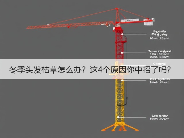 冬季头发枯草怎么办？这4个原因你中招了吗？(图3)