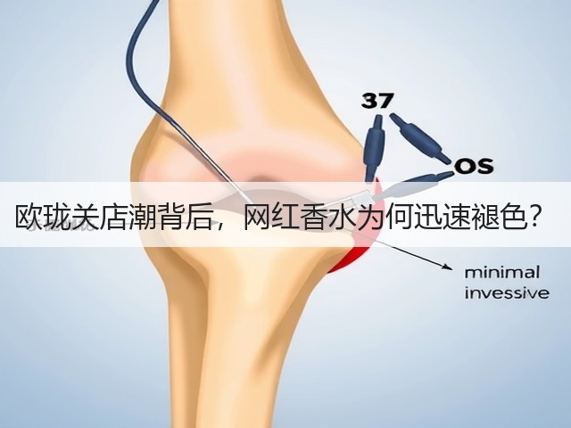 欧珑关店潮背后,网红香水为何迅速褪色?(图1) 欧珑关店潮背后,网红香水为何迅速褪色?(图1)