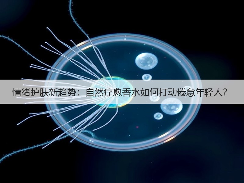 情绪护肤新趋势：自然疗愈香水如何打动倦怠年轻人？
