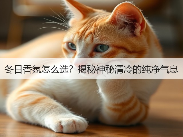 冬日香氛怎么选?揭秘神秘清冷的纯净气息(图1) 冬日香氛怎么选?揭秘神秘清冷的纯净气息(图1)