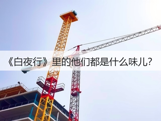 《白夜行》里的他们都是什么味儿？(图3)