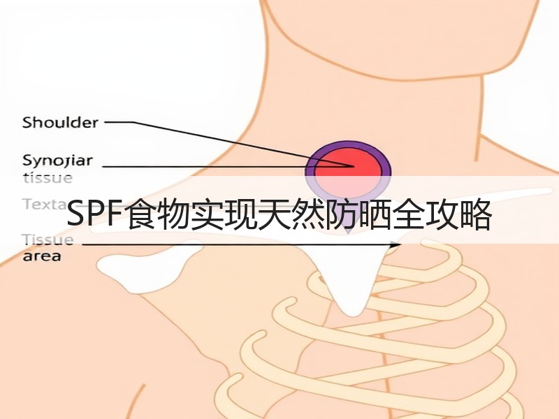 SPF食物实现天然防晒全攻略