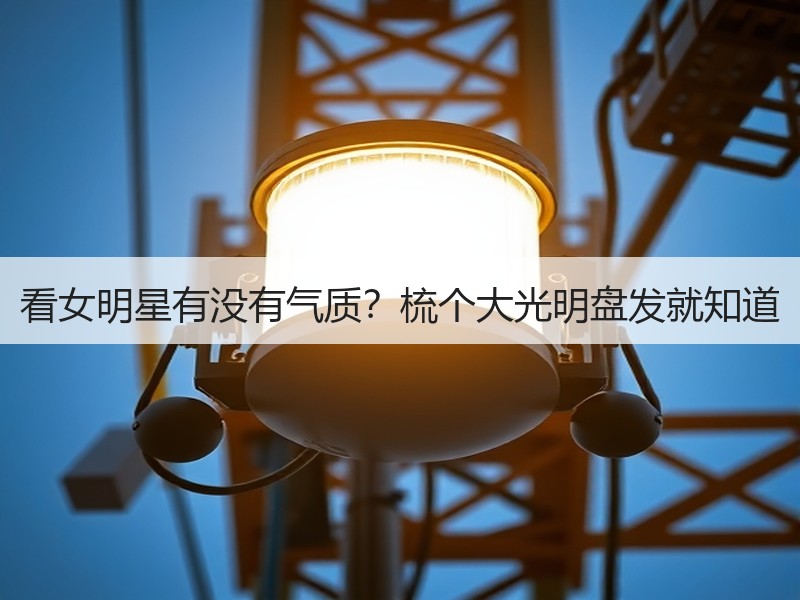 看女明星有没有气质？梳个大光明盘发就知道