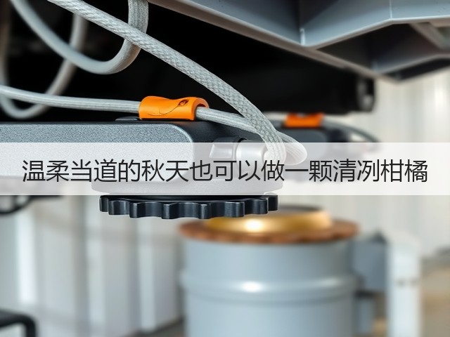 温柔当道的秋天也可以做一颗清冽柑橘(图1)