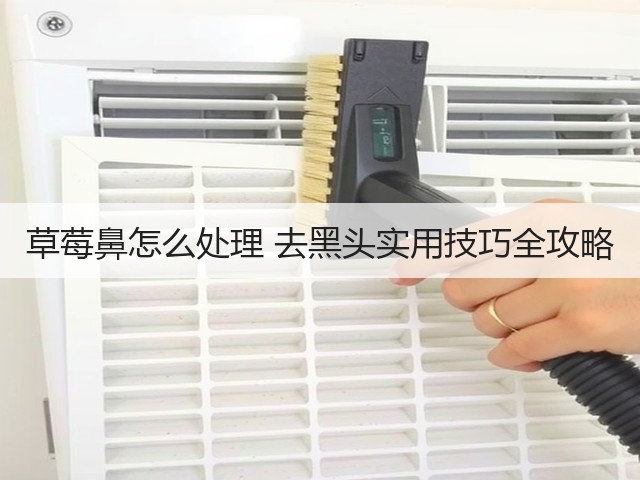 草莓鼻怎么处理 去黑头实用技巧全攻略(图3) 草莓鼻怎么处理 去黑头实用技巧全攻略(图3)