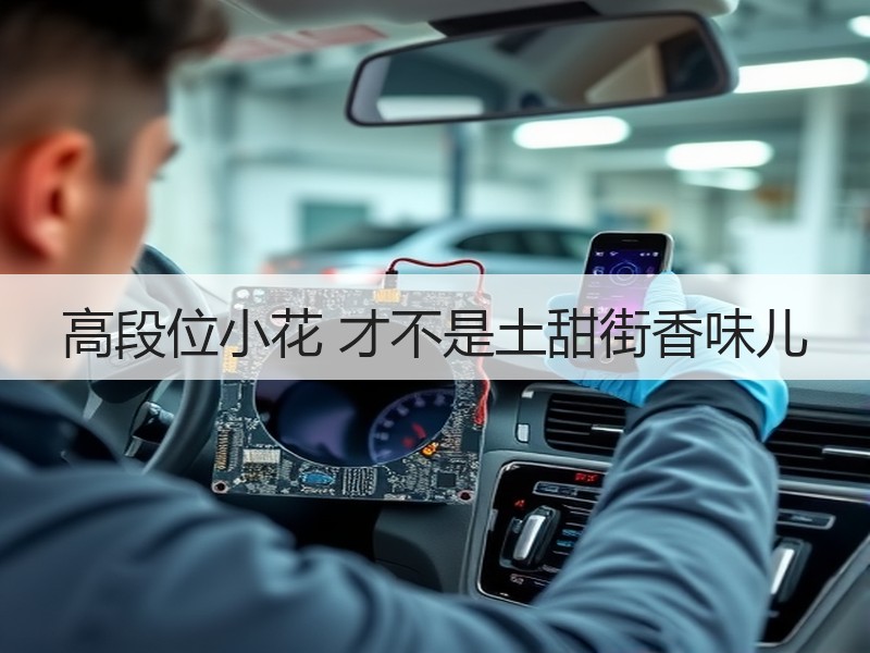 高段位小花 才不是土甜街香味儿