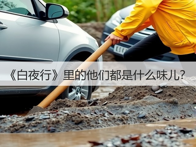 《白夜行》里的他们都是什么味儿?(图1) 《白夜行》里的他们都是什么味儿?(图1)